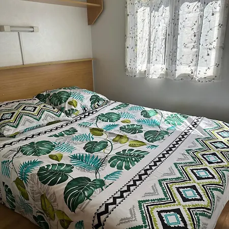 Apartment Proche 2-4 Pers *