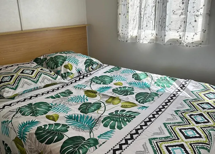 Daire Proche 2-4 Pers *